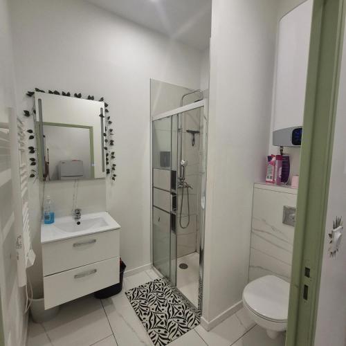a bathroom with a shower and a sink and a toilet at Appartement Jungle 4 places in Saint-Étienne