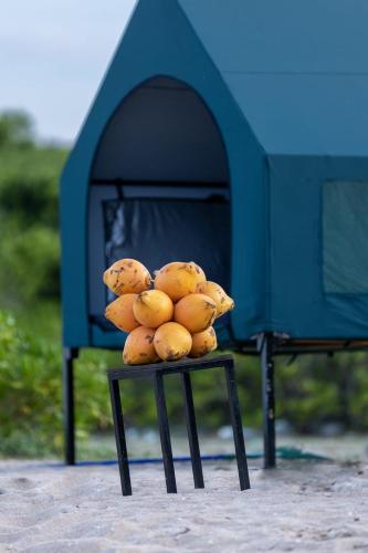 a pile of bananas sitting on top of a table at Kuma Surf Camp in Arugam Bay