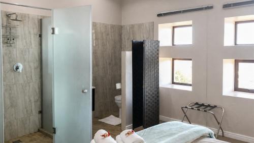 a bathroom with a bed and a shower and a toilet at Aqua Terra Boutique Guesthouse - Simon's Town, Cape Town in Simonʼs Town