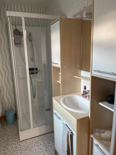 a bathroom with a shower and a sink at Les Prunus Clermont -Créans 2 personnes in Clermont-Créans