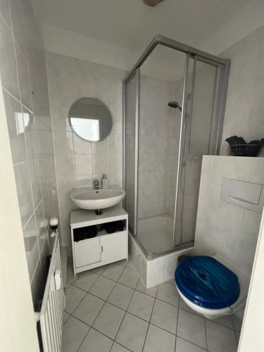 a bathroom with a shower and a toilet and a sink at ElbUfer Glück in Schieritz