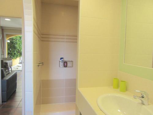 a bathroom with a sink and a shower at U Closu San Petru in Linguizzetta