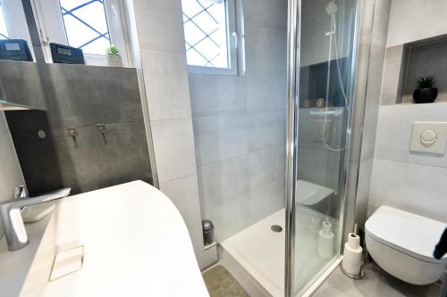 a bathroom with a shower and a toilet at La Parenthèse - Maison avec piscine privée in Wissembourg