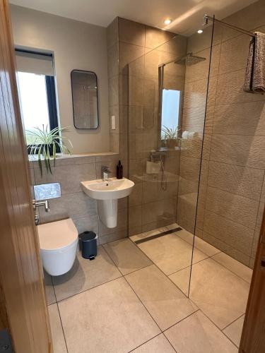 a bathroom with a shower and a sink and a toilet at Sputieburn Bothy in Brora