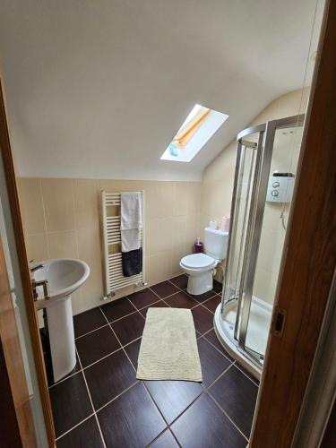 a bathroom with a sink and a toilet and a shower at Letterkenny View in Letterkenny