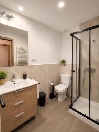 a bathroom with a toilet and a sink and a shower at Villa Rural in Cabezuela