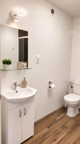 a white bathroom with a toilet and a sink at Obłoczek in Łeba