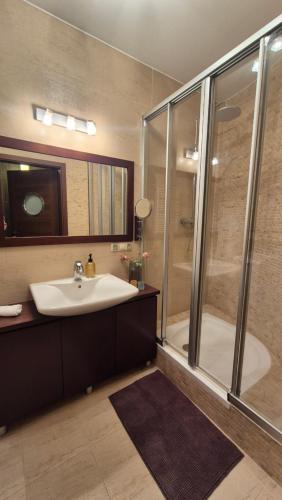 a bathroom with a sink and a shower at Kościuszki Centrum Apartment in Łódź