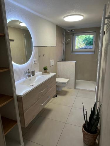 a bathroom with a sink and a toilet and a mirror at Ferienhaus an der Eder in Edertal