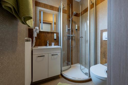 a bathroom with a shower and a toilet and a sink at Grüner Hof in Zell am Harmersbach