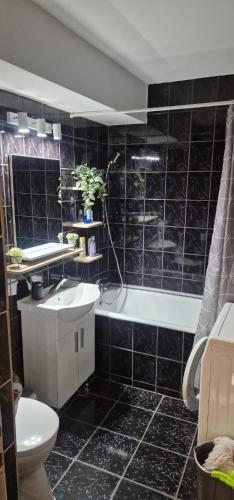 a black tiled bathroom with a sink and a toilet at Elite Apartament Hunedoara in Hunedoara