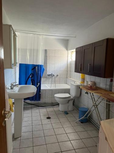 a bathroom being remodeled with a toilet and a sink at Olgas-Village-house in Cheimadión