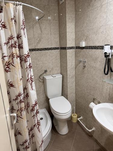 a bathroom with a toilet and a sink and a shower curtain at Apartmani Erdeljanov in Soko Banja