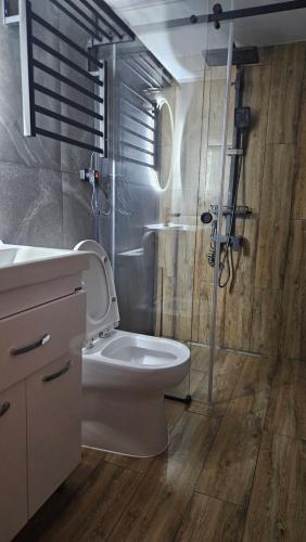 a bathroom with a toilet and a glass shower at Glamping Yeghegis in Yeghegis