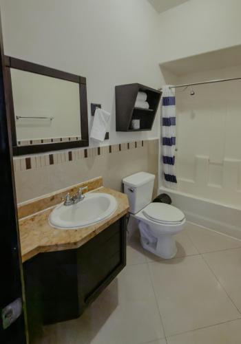 a bathroom with a sink and a toilet and a mirror at Hotel sierra palace in Cuauhtémoc