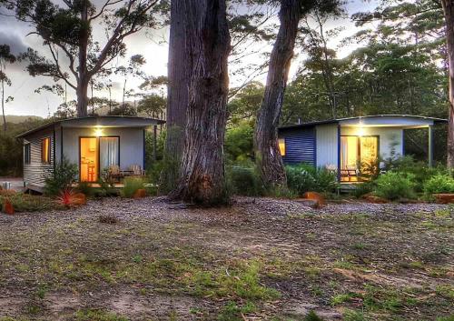 a small house in the woods with a tree at Bruny Island Holiday Park in Adventure Bay