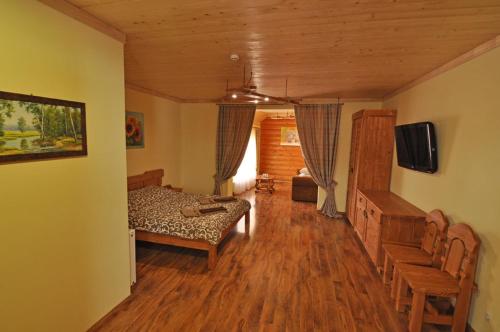 a living room with a bed and a tv in it at Dayarta in Skhidnitsa