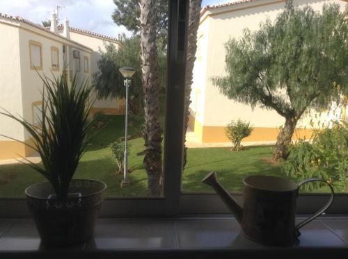 a window with a plant and a cup on a counter at Votre appartement a Portimao in Portimão