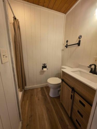 a small bathroom with a toilet and a sink at River Run Maggie's house in Kerrville