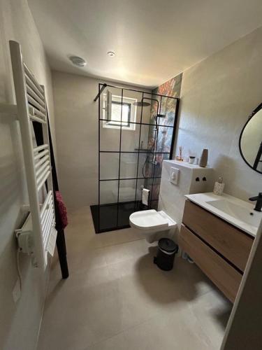 a bathroom with a toilet and a sink and a mirror at Le chaumet in SAINT DENIS EN MARGERIDE