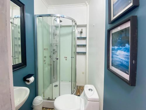 a bathroom with a shower and a toilet and a sink at El Martín Pescador in Osorno