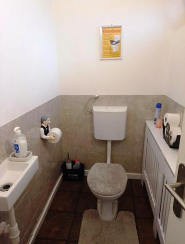 a small bathroom with a toilet and a sink at Gästehaus Josef Lang in Andau