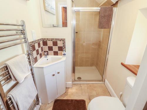 a bathroom with a shower and a toilet and a sink at Piggery Cottage in Wigton