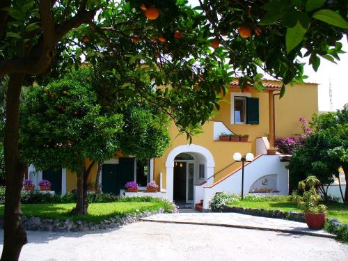 a house with an orange tree in front of it at Hotel Villa La Marticana in Ischia