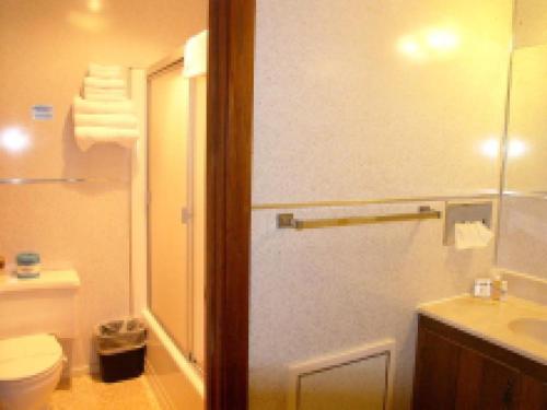 a bathroom with a shower and a sink and a toilet at Mountain View Lodge in Packwood