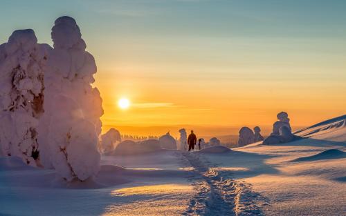 a group of people walking in the snow at sunset at Ylläksen Yöpuu in Äkäslompolo