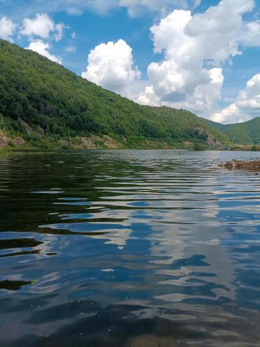 a body of water with trees and clouds at Cabana 7 izvoare in Remeţi