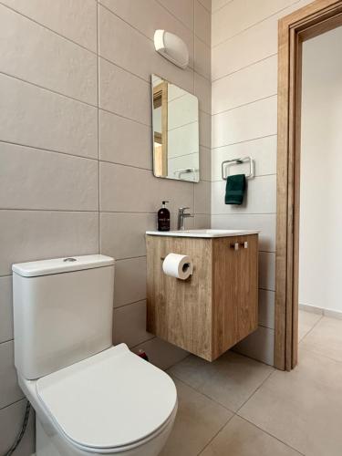 a bathroom with a white toilet and a sink at Esmee In, Engomi in İncirli
