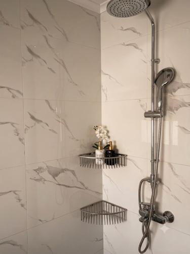 a shower with two shelves in a bathroom at An Phát Villa Đà Lạt in Da Lat