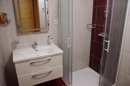 a bathroom with a sink and a shower at Turistična Kmetija Čebelji Gradič in Rogašovci