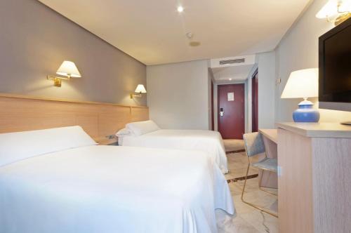 a hotel room with two beds and a flat screen tv at Hotel Puertollano in Puertollano