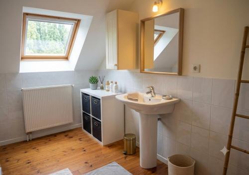 a bathroom with a sink and a mirror at Chez Sam et Brice in Saint-Georges-Buttavent