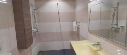 a bathroom with a shower and a sink and a mirror at Résidences Aya in Abidjan
