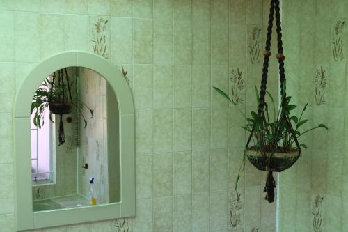 a bathroom with a mirror and a potted plant at Grysbok Self Catering Accommodation in Oudtshoorn