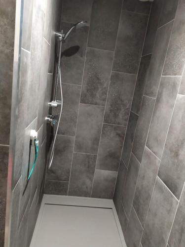 a bathroom with a shower with a tiled floor at Meublé Climatisé 75 M2 in Souvans