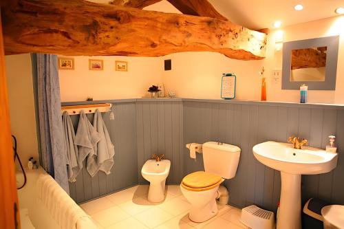 a bathroom with a toilet and a sink at Maison Les Fleuries in Saint-Quentin-de-Chalais