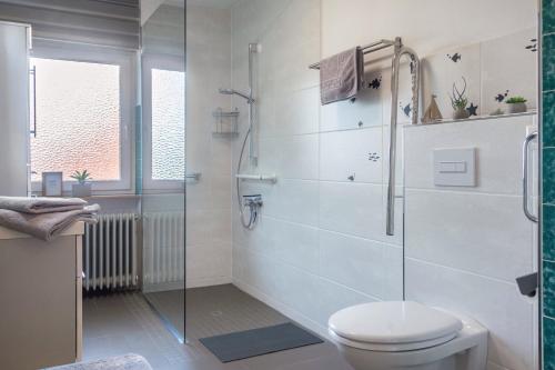 a bathroom with a toilet and a glass shower at Ferienwohnung Dorfliebe in Gerolfingen