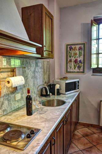 a kitchen with a sink and a microwave at Le Civette Country Resort with Pool in Bagno a Ripoli