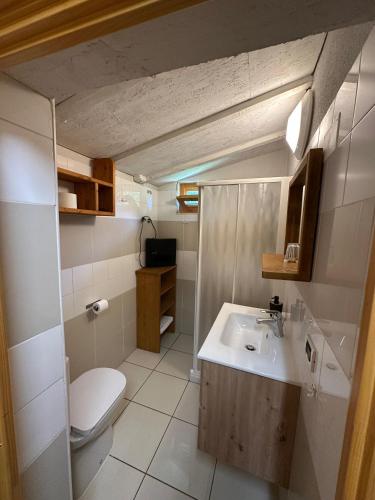 a small bathroom with a sink and a toilet at Baita al sole in Faida