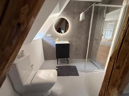 a bathroom with a toilet and a sink and a shower at Spálený mlýn v Národním parku Podyjí in Znojmo