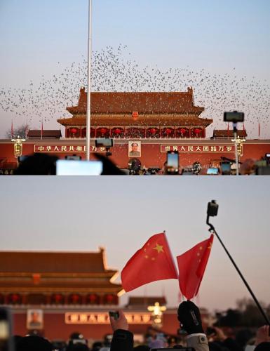 a flock of birds flying over a building with a flag at Atour Hotel Beijing Gulou Houhai - Free Night Snacks in Beijing