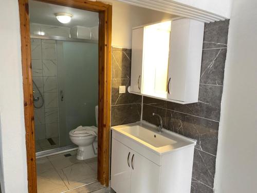 a bathroom with a sink and a toilet at Köseoğlu Apart Villa in Fethiye