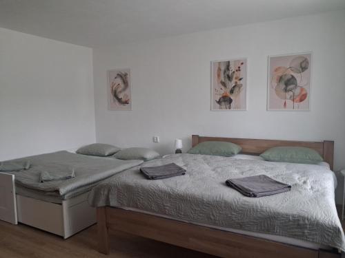 a bedroom with two beds and two pictures on the wall at Ponte Liptov in Liptovský Trnovec