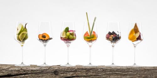a row of wine glasses filled with different types of vegetables at Weingut und Gästezimmer Perner in Ehrenhausen