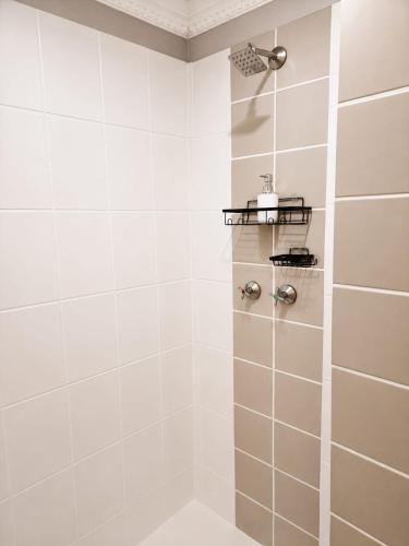 a bathroom with a shower with white tiles at Tree Aloe Guest House in Mokopane