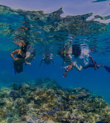 a group of people are swimming in the water at Nanz's Homestay in Ngunu